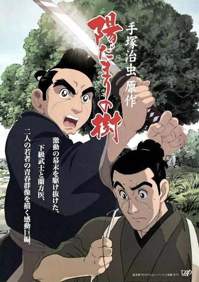 向阳之树
