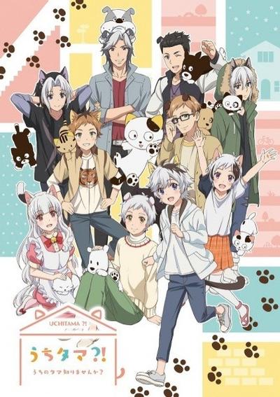 UCHITAMA?!～猫狗宠物街～