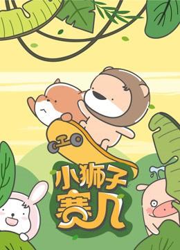 小狮子赛几