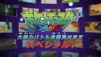 宝可梦 2014大晦日超盛大特别篇！！