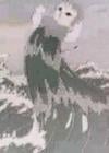 小溪流