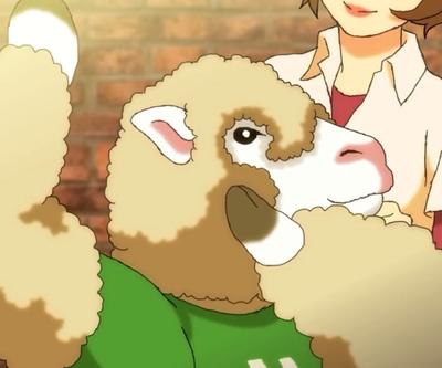 Sheep's haircut