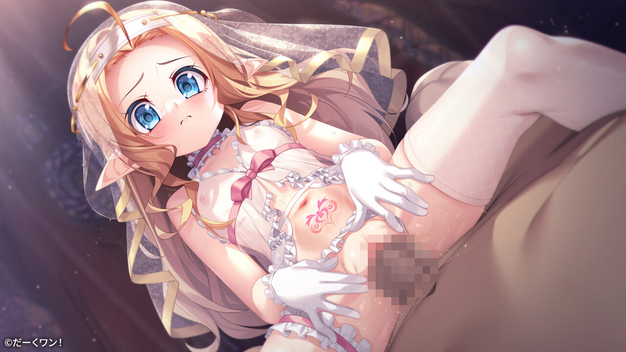 精品ADV/汉化/新作/调教丨隶从的圣侍祭 露菲亚 隷従の聖侍祭 ルフィア --转区运行【20260428】 游戏截图 7