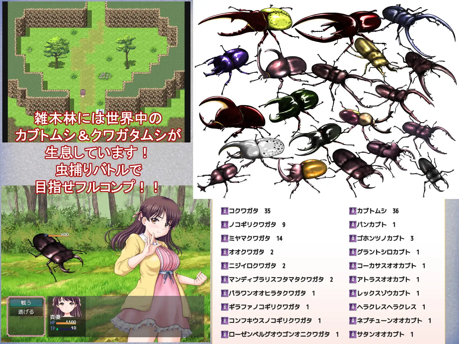日系RPG/AI汉化/双端丨重温那快乐的田舎暑假 あの楽しかった田舎での夏休みをもう一度… v1.02【20260513】 游戏截图 4