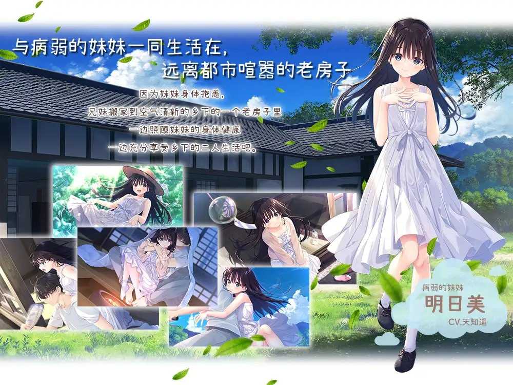 [RPG/官中/动态无码]痴情哥哥与病弱妹妹的乡间生活 官方中文步兵版+Append.01+02+03+04+05【20260705】 游戏截图 2