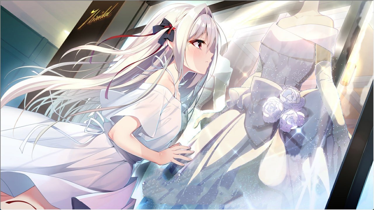 ADV汉化PC存档CV巨乳丨流星 FD 流る星 ふぁんでぃすく v1.1  【20251125】 游戏截图 6