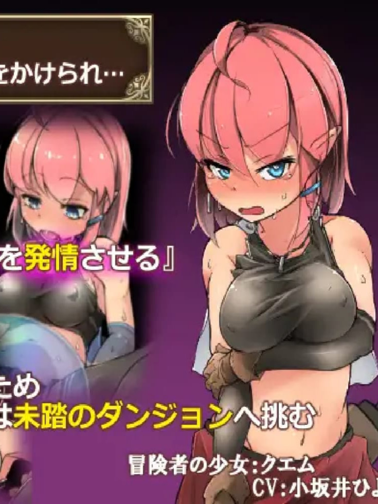 日式RPG/官中版丨 遗迹探索者 ルインズシーカー v1.0.3 官中步兵版 【20250603】