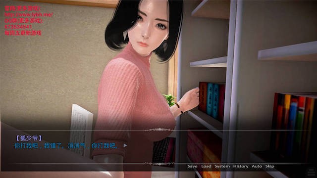 母上攻略 Ver5.0 中文版(已有新版本可搜索) 游戏截图 4