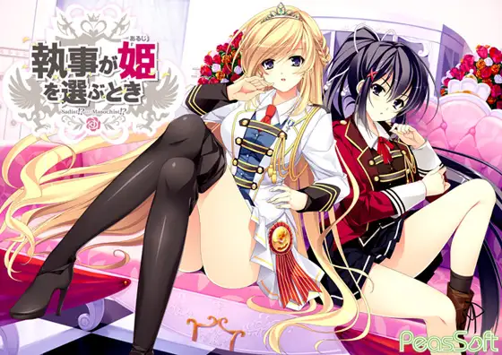 執事が姫を選ぶとき / 执事选择公主之时 汉化硬盘版【PC0818】 游戏截图 2