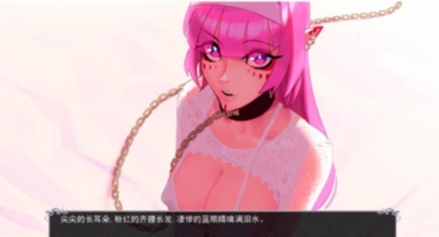 猎魔人物语 V1.5a 官方中文作弊版PC+安卓/1.4G【20230210】 游戏截图 1