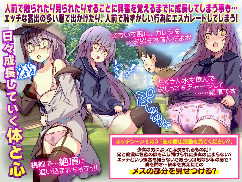 RPG/机翻/新作丨关于妹妹的想法/妹の気持ち丨【20230616】 游戏截图 5