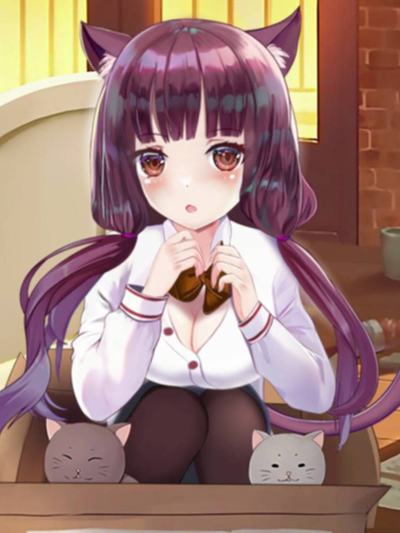 猫咪夜生活/ Neko Office: Nightlife Adventures 带作弊 Bui:10954970【20230502】