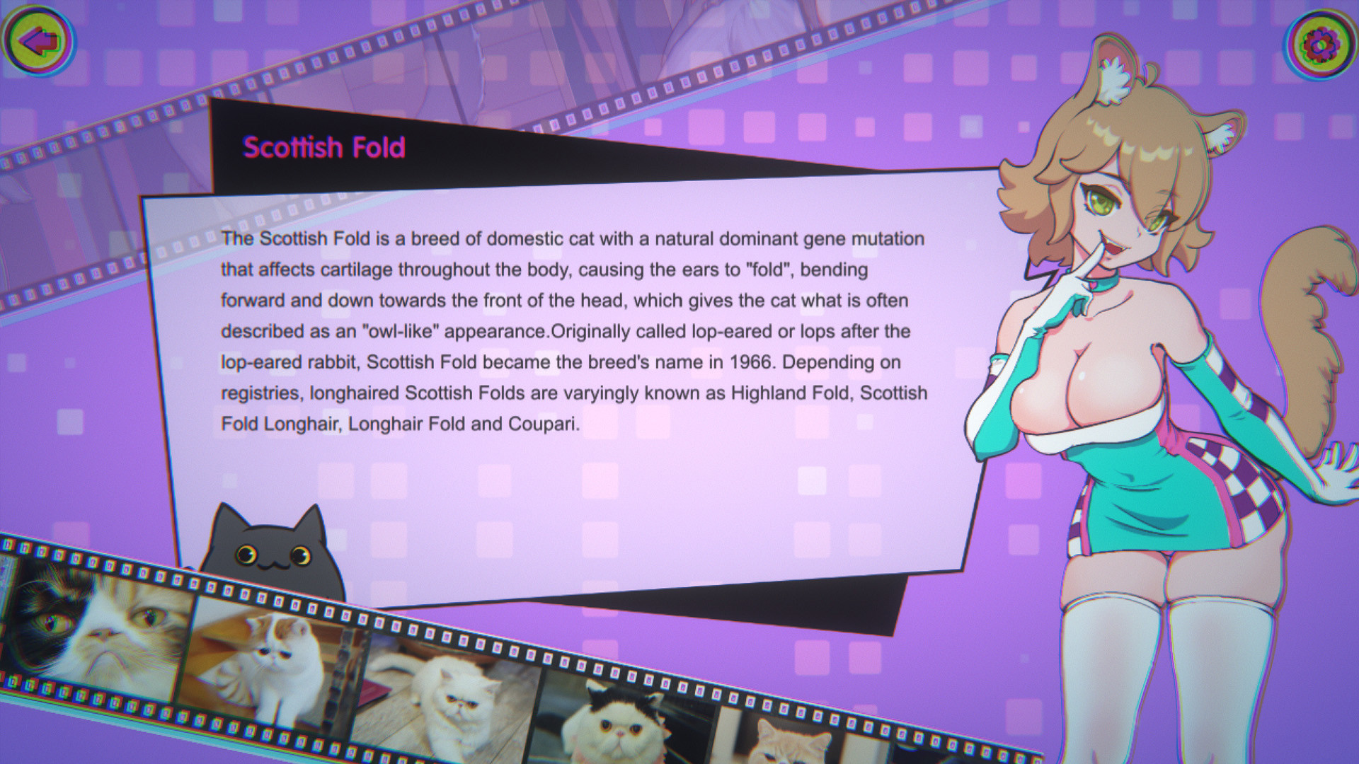 猫姑娘喵喵岛3 Miss Neko 3 Build.10093506 STEAM官中版+DLC【20221230】 游戏截图 4
