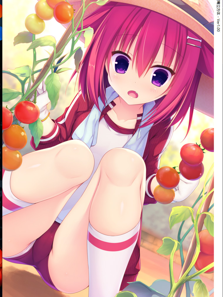 树莓立方体