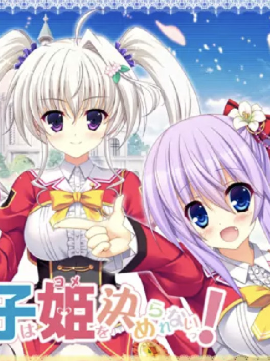 【生肉】毎日がハーレムすぎて王子（おれ）は姫（ヨメ）を決められないっ！