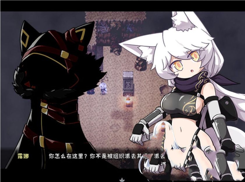ARPG/官中丨暗影之狼 wolf of shadow V0.7.8.Beat 【20231225】 游戏截图 5