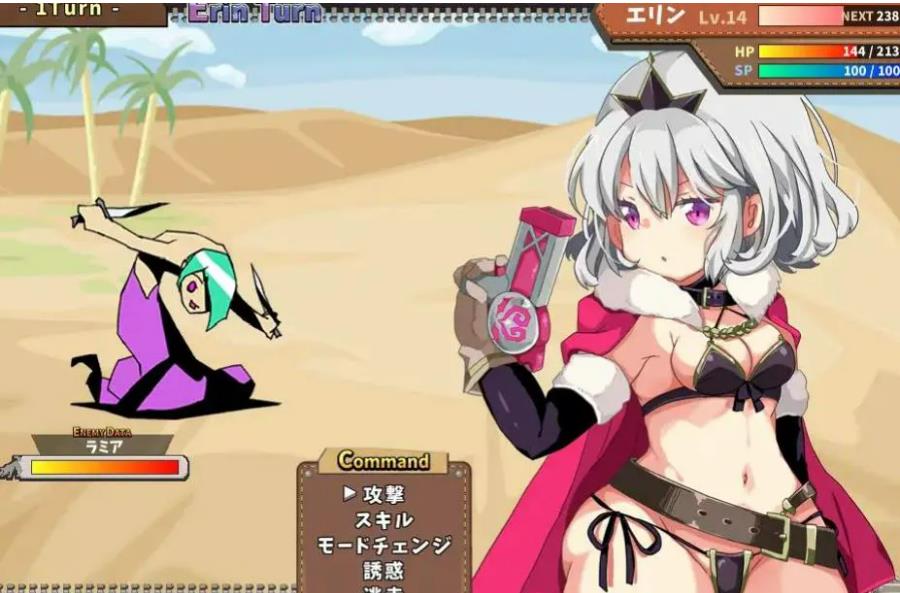 女骑士艾琳：Knight of Erin Ver1.06 精翻汉化版 【20230405】 游戏截图 3