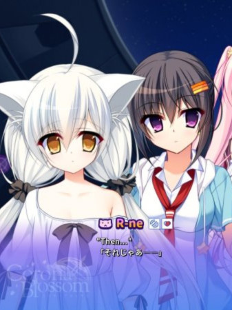 日冕花开 2