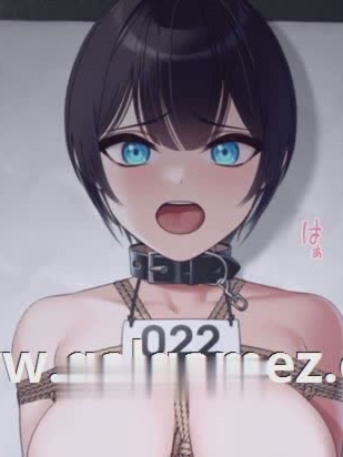 SLG/新作/调教/全程动画 | 被囚禁的女孩/ 囚われの娘 V1.1【20230513】