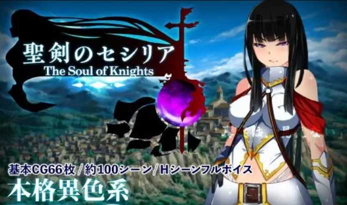 爆款RPG/凌辱大作/汉化丨圣剑塞西莉亚~骑士之魂~ V1.60i 最终完整云翻版【20230725】 游戏截图 5
