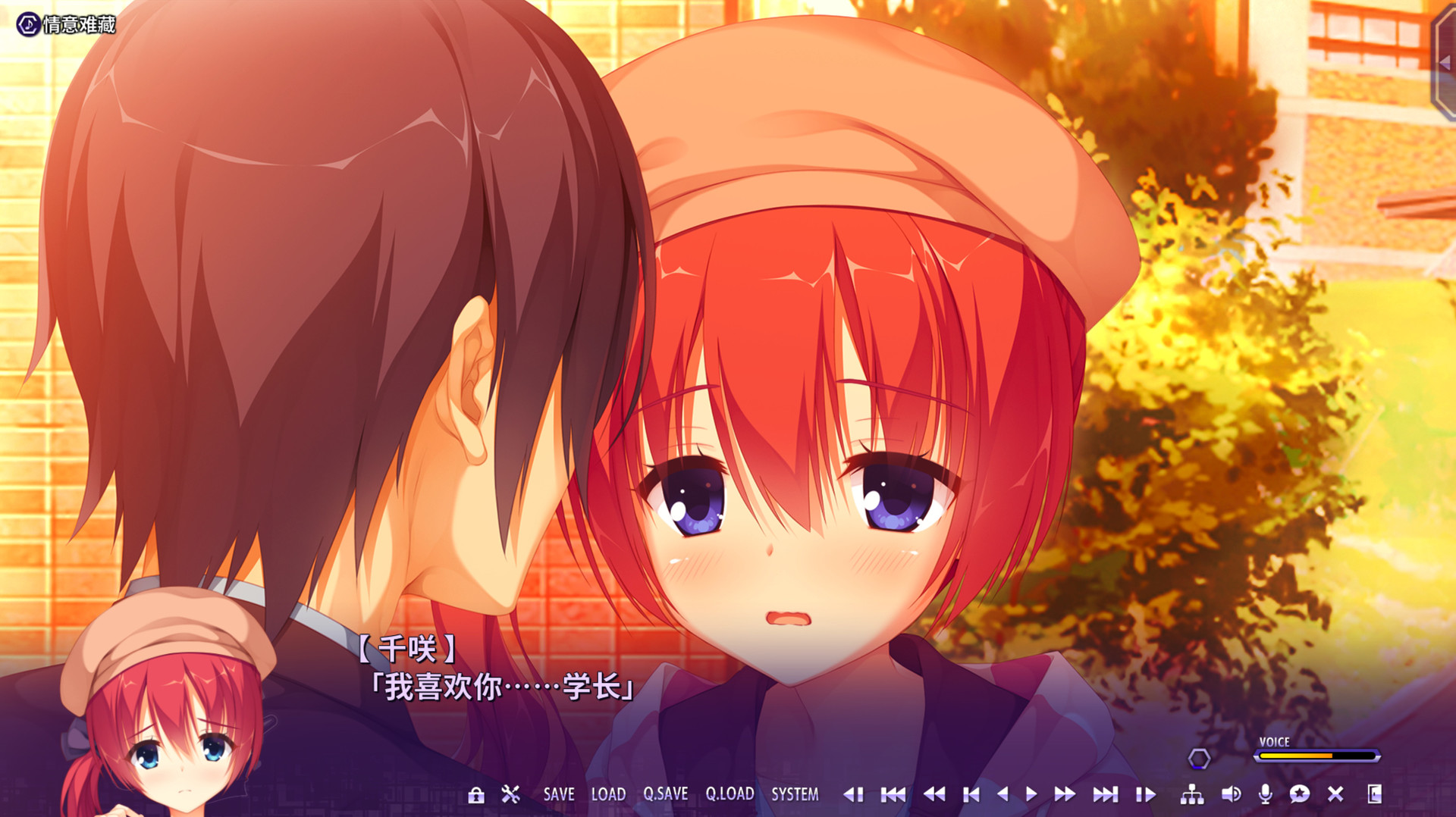 RIDDLE JOKER 游戏截图 7