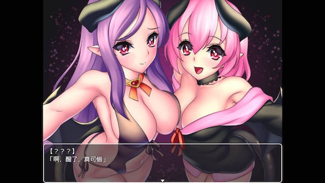 魅魔姐妹的梦堕之夜 游戏截图 1
