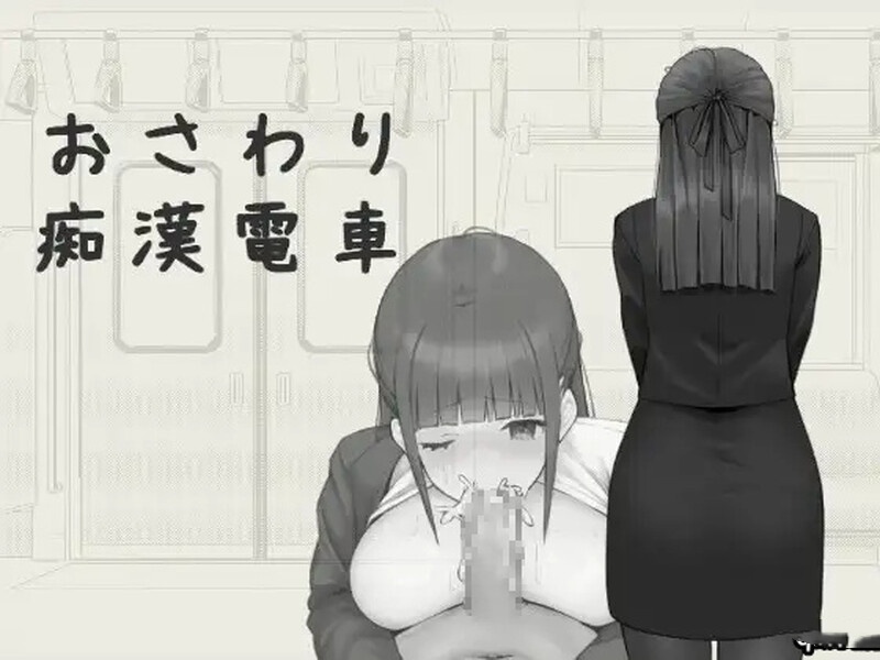 互动SLG/触摸抚摸/2C丨触摸骚扰火车(おさわり痴○電車)V1.0 DL官方中文【20240914】 游戏截图 3