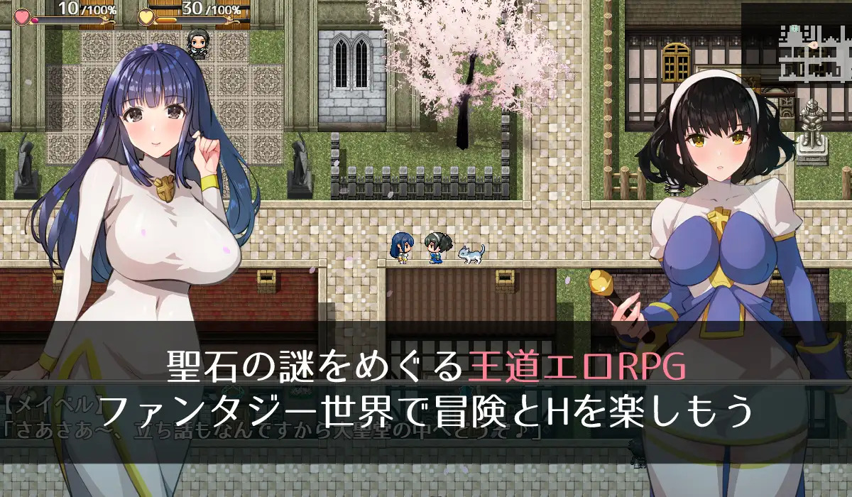 重口RPG/生肉/屎尿屁/凌辱/战斗H丨BLESSED SNOW ver1.04【20240623】 游戏截图 7