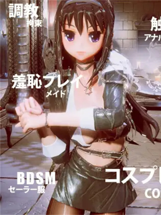 3D/官方中文/新作丨コスプレ コレクション【20240124】