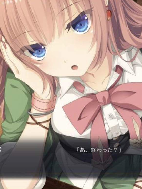 【生肉】レイルロアの略奪者