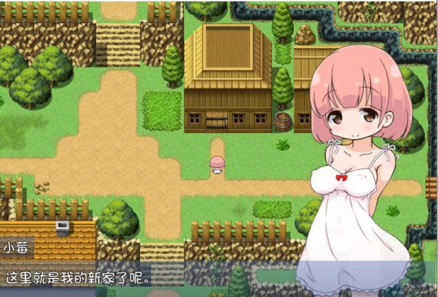 小莓的乡间交流物语 游戏截图 3