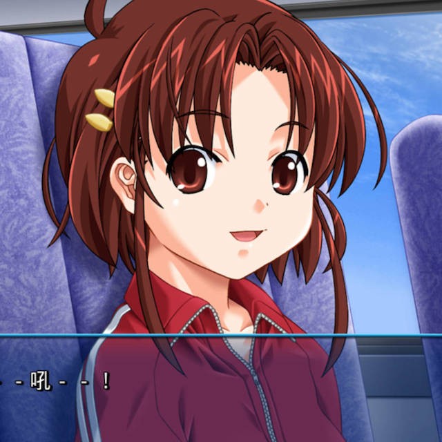 野外学习