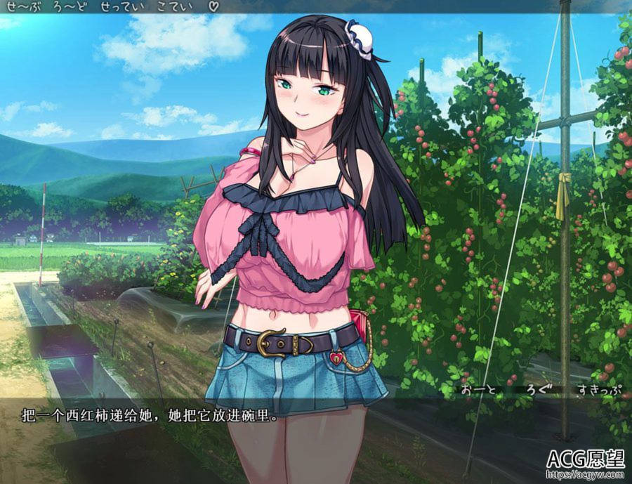 DSKBJCS☆-和三名小恶魔的银汁夏日!云翻汉化版 游戏截图 3