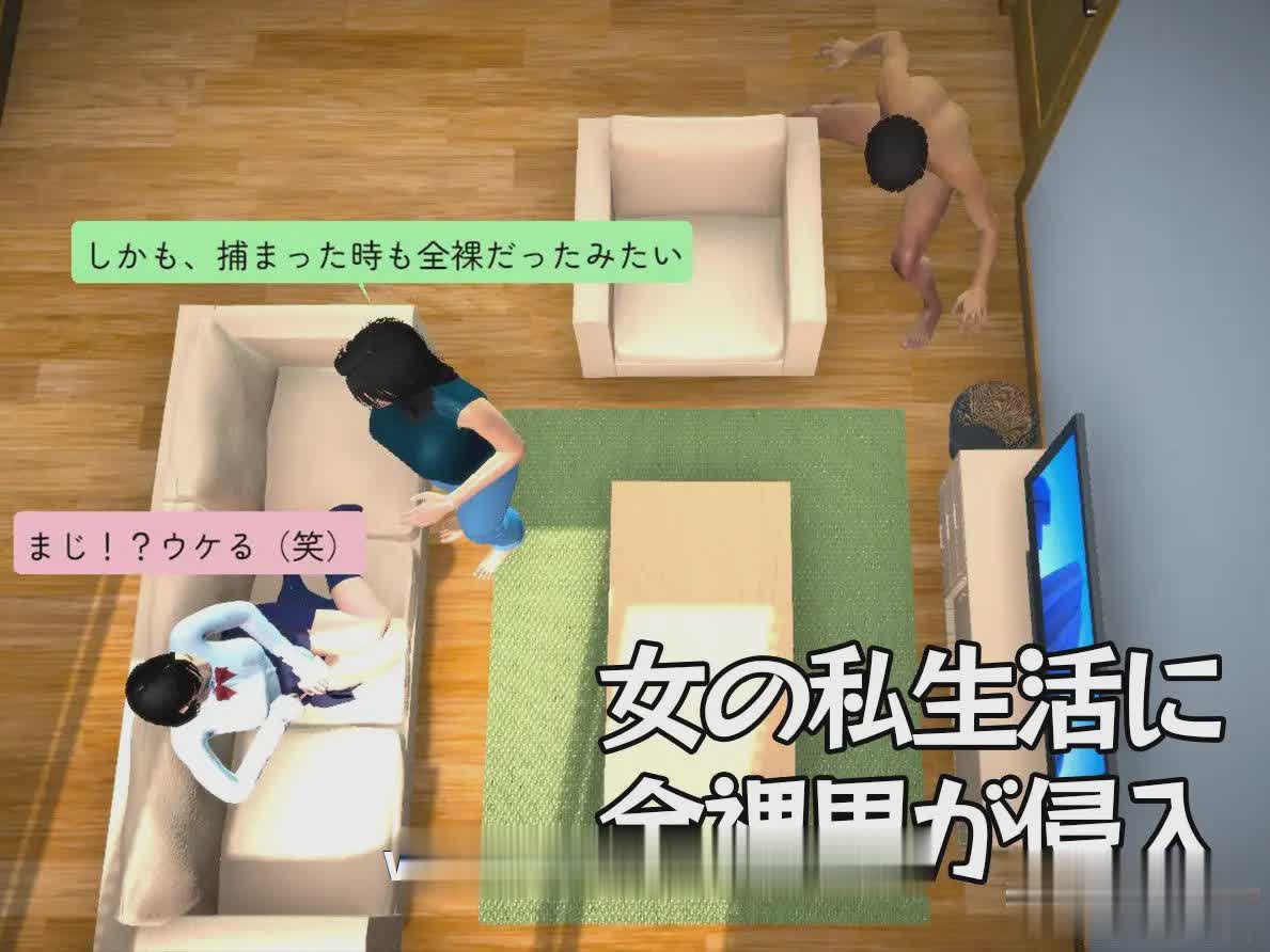 ACT/新作/3D潜行/有动画 丨 THE不法侵入 【20230626】 游戏截图 2