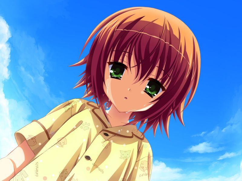 夏空彼方 游戏截图 2