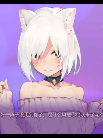拼图猫娘3