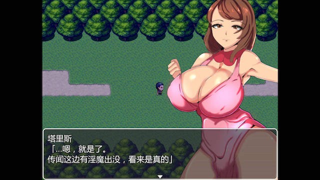 魅魔盯上的村庄 游戏截图 1
