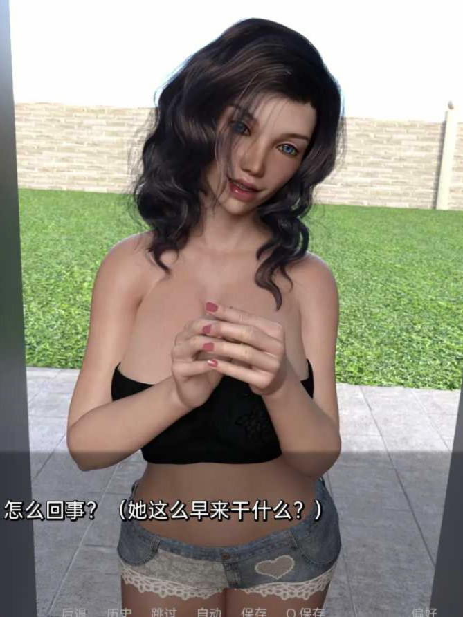 欺诈行为 A Deceitful Act v6.5 汉化版 【PC10月】