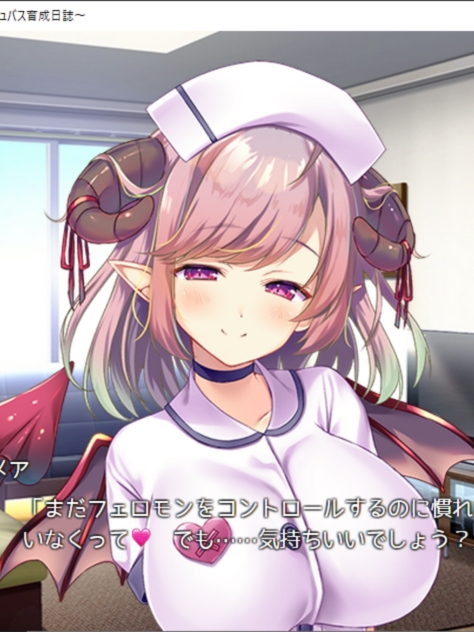 サキュバスの育成方法【20230315】